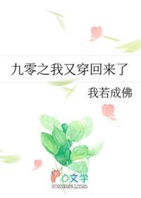 九零之我又穿回来了